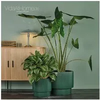 VidaAtHome.de Blumentopf Design-Pflanzgefäße-Set IVY (2er Set) (Spar-Set, Pflanzgefäß IVY 30 & 40), Modernes Rillendesign, mit praktischem Pflanzeinsatz