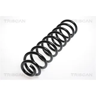 Triscan Feder vorne Mercedes E-Klasse W211 87502385