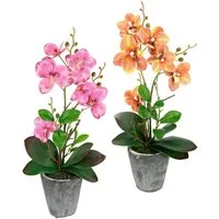 Kunstpflanze Orchidee, I.GE.A., Höhe 40 cm, Mit Blättern und Luftwurzeln, im Topf aus Keramik, 2er Set