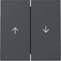 GIRA Wippe 2f Pfeil Anthrazit 329428 anthrazit, Retail