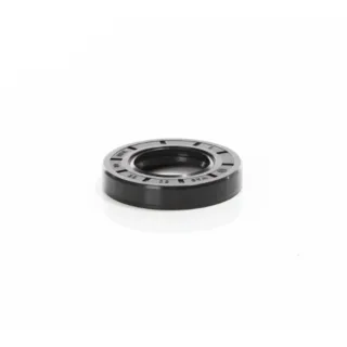 ELMAG Wellendichtring (WDR 030/55/10 SL) - 9101648