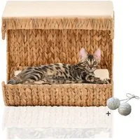 Rohrschneider Katzen-Kletterwand Katzen Liegemulde Kuschelhöhle Liegemulde Wandliege Katze
