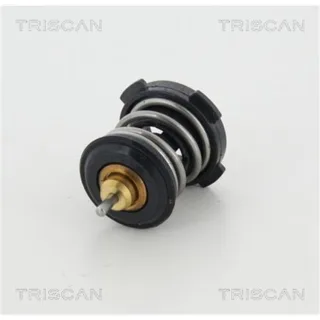 Triscan Thermostat Audi CUPRA Seat Skoda VW 862046687