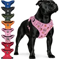 Reichstadt Hunde-Geschirr RS Pets Norwegergeschirr 25RSP083, Polyester, atmungsaktives Netzgewebe und robuster Oxford-Stoff