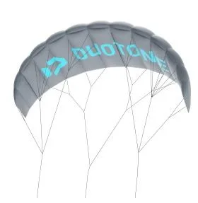Duotone Lizard Trainerkite 2,5 M Grau