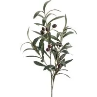 Kunstpflanze Olive, Emerald, Höhe 75 cm, Farbe: Grün
