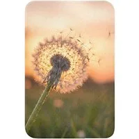 OnlyWow WC-Vorleger Löwenzahn - Sonnenuntergang - Feld, Höhe 10 mm, Polyester, Rechteckig, WC Teppich, Toilettenvorleger, Toilettenteppich, Badematte 40x60 cm