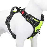 LuxusKollektion Hunde-Sicherheitsgeschirr Hundegeschirr Anti Zieh Reflektierend Verstellbar Grün Medium