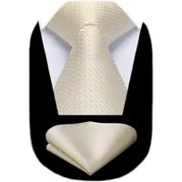 LuxusKollektion Krawatte Krawatte Einstecktuch Set Herren Hochzeit Business Heller Champagner