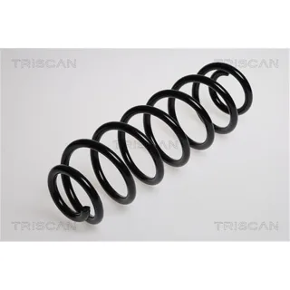 Triscan Feder hinten Skoda Rapid VW Golf