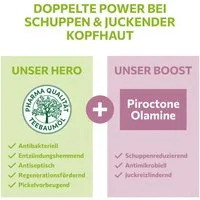alkmene Haartonikum Teebaumöl Kopfhaut Tonikum Juckreiz Linderung 100% bestätigt - vegan, 1-tlg.
