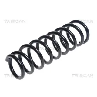 Triscan Feder hinten Mitsubishi Outlander 875042112