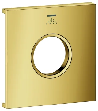 GROHE Metallplatte Grohtherm Aqua Tiles 107173, Symbol: Kopfbrause 5 cool sunrise, 107173GL00 107173GL00