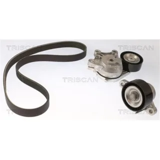 Triscan Keilrippenriemensatz Citroen C4 Ds4 DS Ds Peugeot 2008 3008 508 1,6