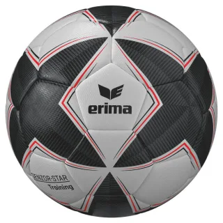 Erima Senzor Star Trainingsball