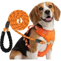 Reichstadt Hunde-Geschirr RS Pets Hundegeschirr & Leinen Set 25RSP083-4, Polyester, atmungsaktives Netzgewebe und robuster Oxford-Stoff