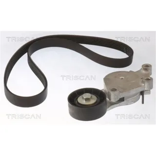 Triscan Keilrippenriemensatz Ford Volvo 864216018