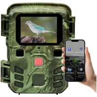 Casativo Wildkamera Wildkamera 2K WLAN Bewegungsmelder Nachtsicht Live View per App (Farbdisplay, Micro, Zeitraffer- & Serienbild, Stand-By 6 Mo)