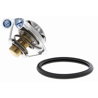 Ackoja Thermostat + Dichtung Nissan Renault A38-99-0015