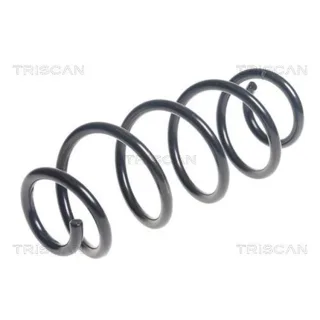 Triscan Feder hinten Suzuki Swift 4