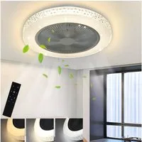 Nettlife Deckenventilator Deckenleuchte Leise Dimmbar mit Beleuchtung Timing 48.5CM, Wohnzimmer Schlafzimmer Esszimmer