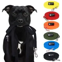 Reichstadt Hundeleine RS Pets Führleine Texturierte PVC 25RSP085, PVC, Weiche Handschlaufe mit Soft-Wrist-Strap
