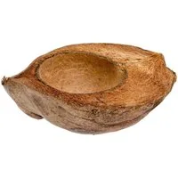 NaDeco Bastelnaturmaterial Kokosnuss halbiert im Längsschnitt ca.15-20cm Kokosschale