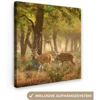 OneMillionCanvasses® Leinwandbild Hirsche - Wald - Herbst - Waldtiere - Natur - Hirsch, Fotodruck (1 St), Wandbild, Deko Schlafzimmer Wohnzimmer Flur 20x20 cm