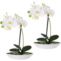Kunstorchidee Phalaenopsis, Creativ green, Höhe 30 cm, 2er Set, in Kunststoffschale