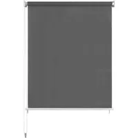 Rollo, vidaXL, Außenrollo 200 x 140 cm Anthrazit