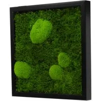 Moos-Design Bilderrahmen Moos Bild Forest Design 80% Flachmoos und 20% kugelmoos