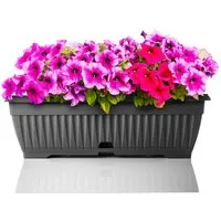 BigDean Blumenkasten Blumenkasten 50 cm mit abnehmbarem Untersetzer Balkonkasten (Set, Pflanzkästen), Blumenkasten, Balkonkasten, Pflanzkasten, Mit Untersetzer