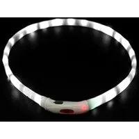 Illes-Laedchen Hunde-Halsband Hunde-Halsband LED Leuchtring Leuchthalsband große Farbauswahl, wiederaufladbar mit mitgeliefertem Kabel Typ C