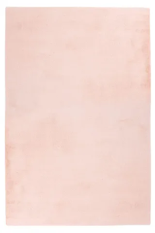 120 x 170 cm