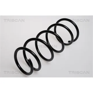 Triscan Feder vorne Nissan Kubistar Renault Kangoo 87502528