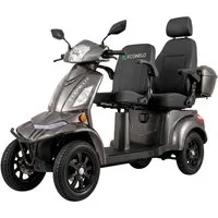 ECONELO Elektromobil E-Seniorenmobil VISTA Quarter-1L, Blei-Akku, 4-Rad, 60V, 1000 Watt, 1000 W, 25 km/h