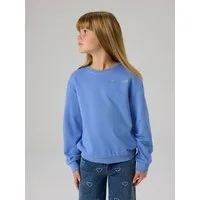 Name It Sweatshirt NKFTILDE LS NREG SWEAT TOP UNB PB
