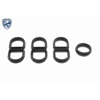 Vemo Dichtung f?r ?lk?hler Audi MAN Seat Skoda VW