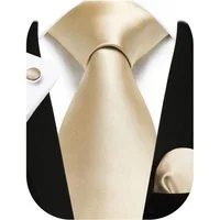 LuxusKollektion Krawatte Krawatte Hochzeit Seide Einstecktuch Manschettenknöpfe B- Champagner