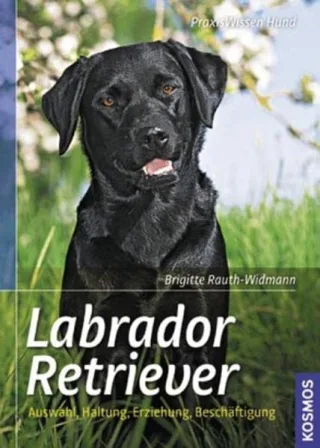 Labrador Retriever: Auswahl Haltung Erziehung Beschäftigung (Praxiswissen Hund)
